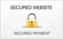 Secured Website Payment